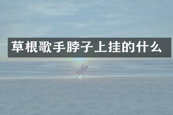 草根歌手脖子上挂的什么