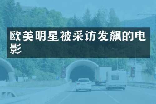 欧美明星被采访发飙的电影