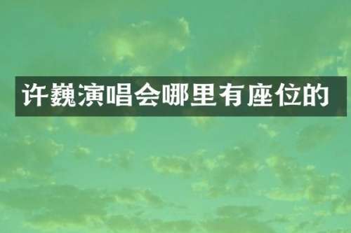 许巍演唱会哪里有座位的