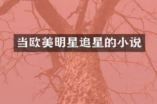 当欧美明星追星的小说