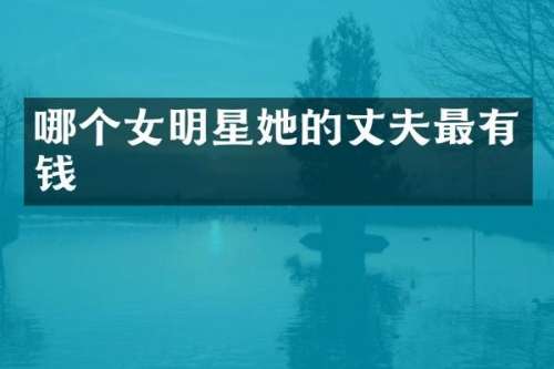 哪个女明星她的丈夫最有钱