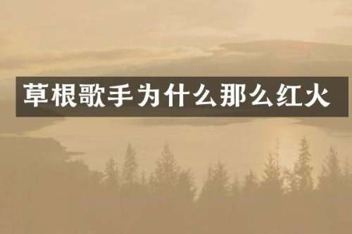 草根歌手为什么那么红火