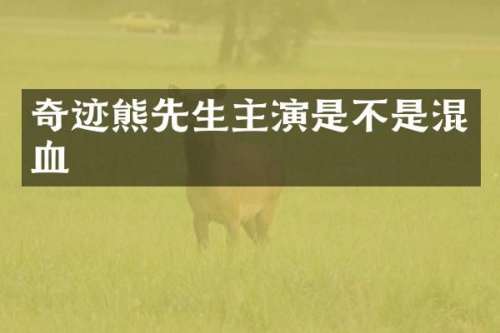奇迹熊先生主演是不是混血