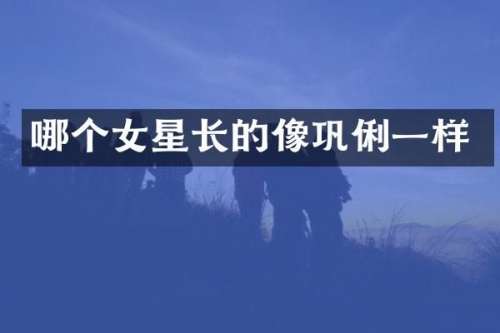 哪个女星长的像巩俐一样
