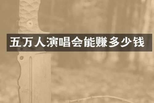 五万人演唱会能赚多少钱