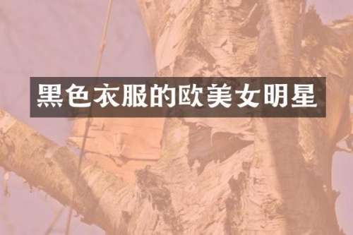 黑色衣服的欧明星