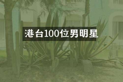 港台100位男明星