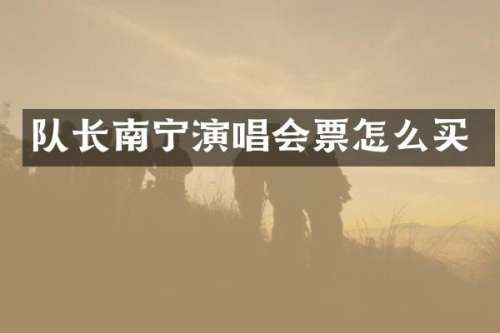 队长南宁演唱会票怎么买