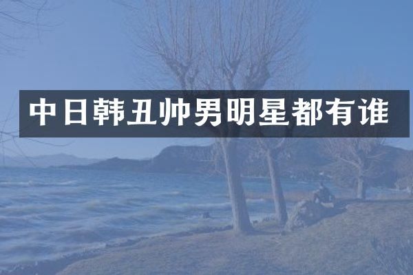 中日韩丑帅男明星都有谁