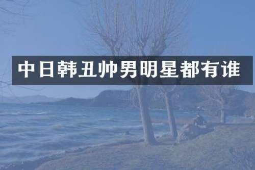 中日韩丑帅男明星都有谁