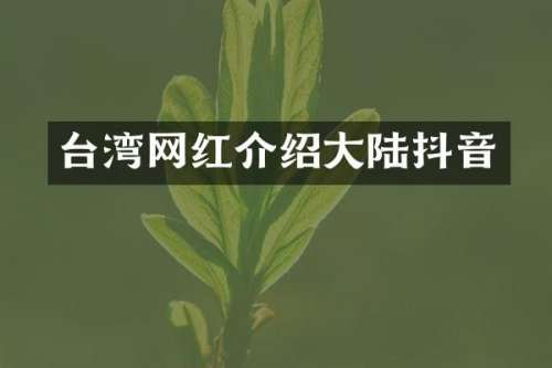 台湾网红介绍大陆抖音