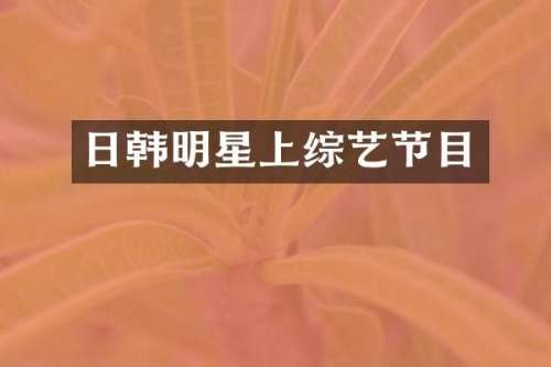 日韩明星上综艺节目