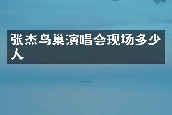 张杰鸟巢演唱会现场多少人