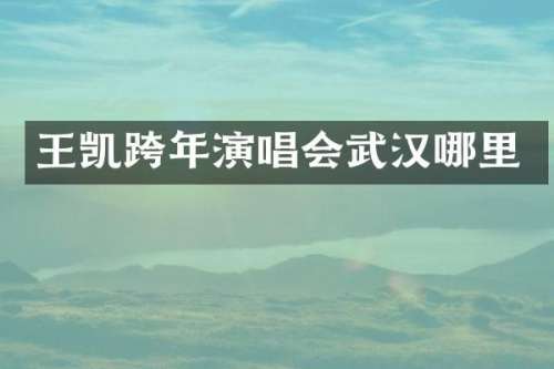 王凯跨年演唱会武汉哪里
