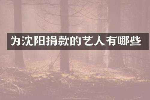 为沈阳捐款的艺人有哪些