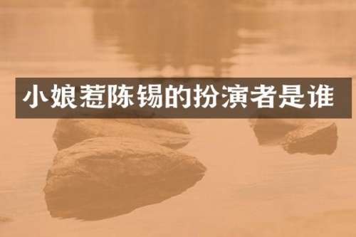小娘惹陈锡的扮演者是谁