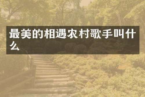 最美的相遇农村歌手叫什么