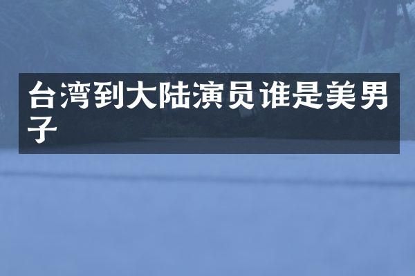 台湾到大陆演员谁是美男子