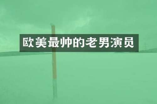 欧美最帅的老男演员