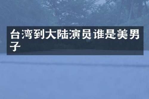 台湾到大陆演员谁是美男子