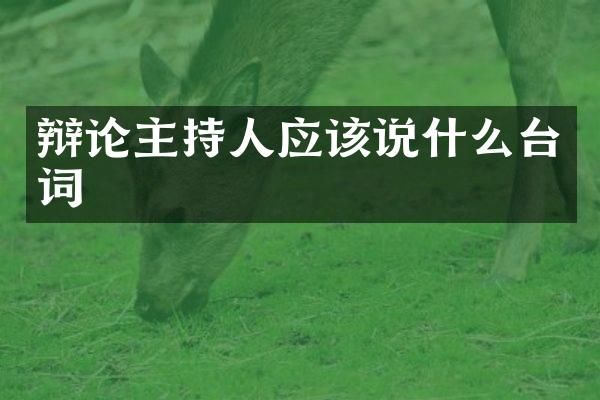 辩论主持人应该说什么台词