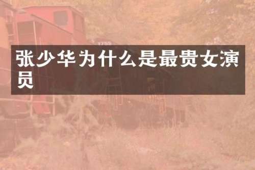 张少华为什么是最贵女演员