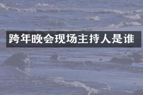 跨年晚会现场主持人是谁
