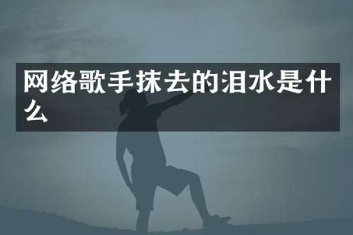 网络歌手抹去的泪水是什么
