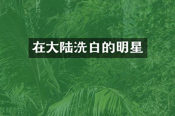在大陆洗白的明星