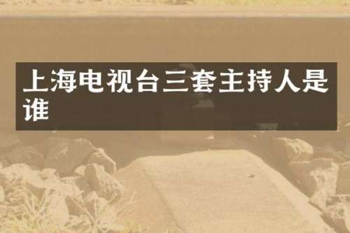 上海电视台三套主持人是谁