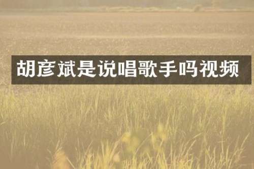 胡彦斌是说唱歌手吗视频