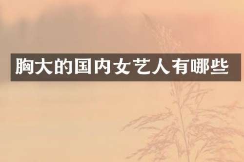 大的国内女艺人有哪些