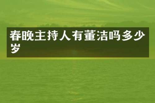 主持人有董洁吗