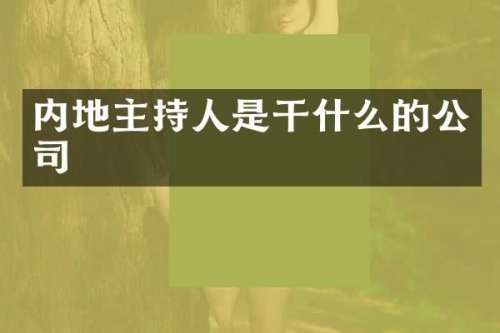 内地主持人是干什么的公司