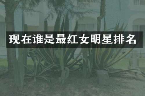 现在谁是最红女明星排名