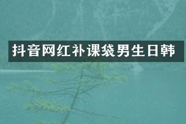 抖音网红补课袋男生日韩