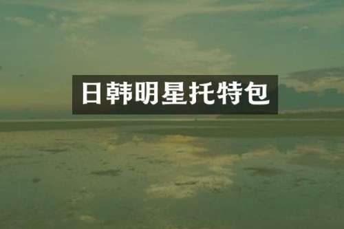 日韩明星托特包