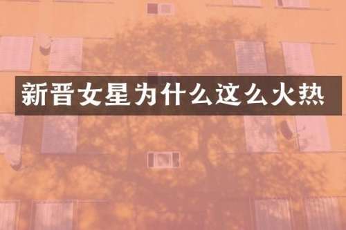 新晋女星为什么这么火热