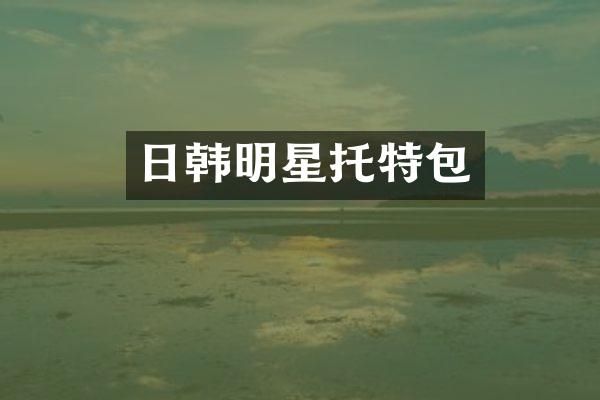 日韩明星托特包