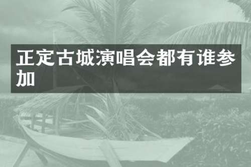 正定古城演唱会都有谁参加