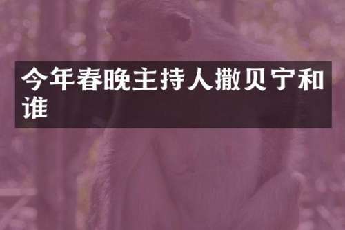 今年主持人撒贝宁和谁