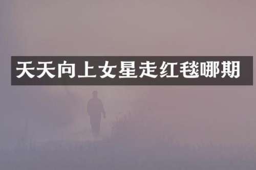 天天向上女星走红毯哪期