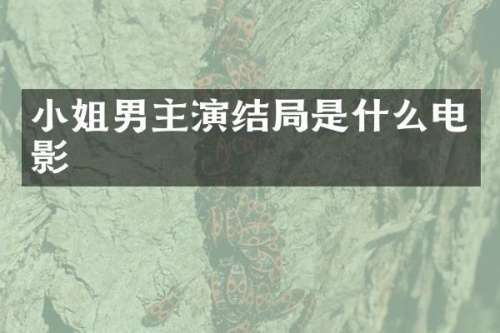 男主演结局是什么电影