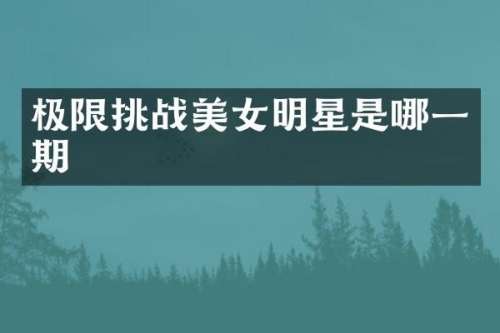 极限挑战明星是哪一期