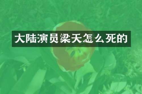 大陆演员梁天怎么死的