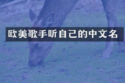 欧美歌手听自己的中文名