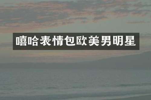 嘻哈表情包欧美男明星