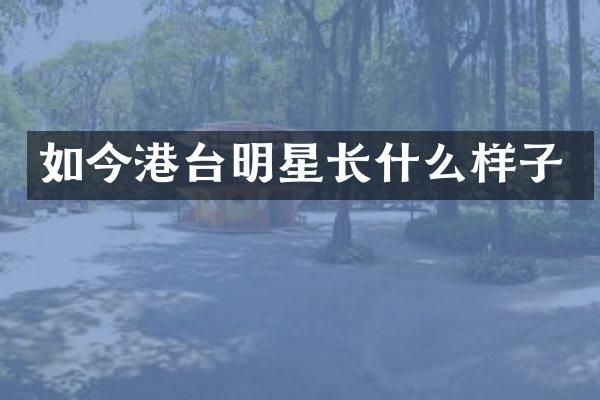 如今港台明星长什么样子