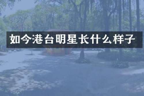 如今港台明星长什么样子