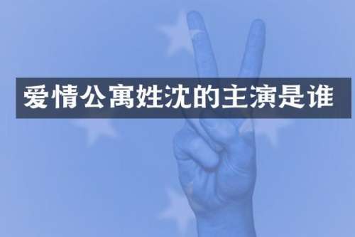 爱情公寓姓沈的主演是谁